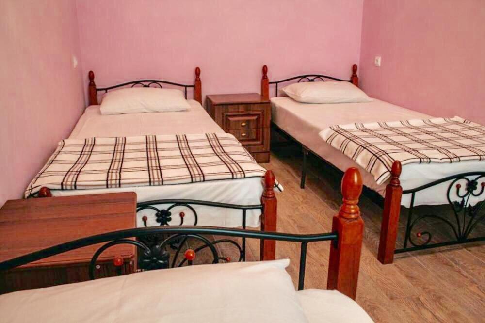 Anna-Saria Guest House กากรา ภายนอก รูปภาพ